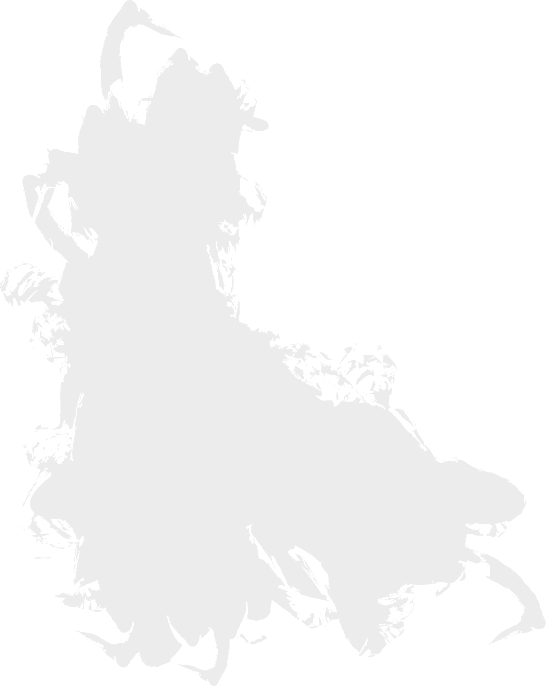 Fracture silhoulette Fracture silhoulette