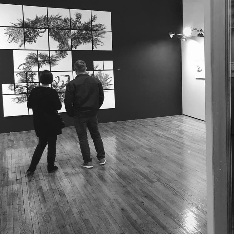 Attendees at the First Friday opening