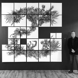 solo show center piece